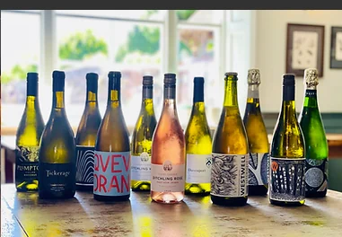 Wine selection at The Pelham Arms in Lewes