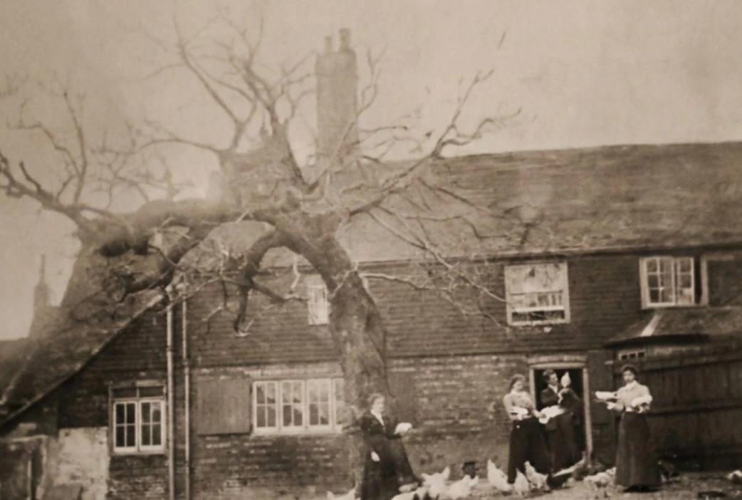 Historic sepia photograph showing the rear of The Pelham Arms, Lewes