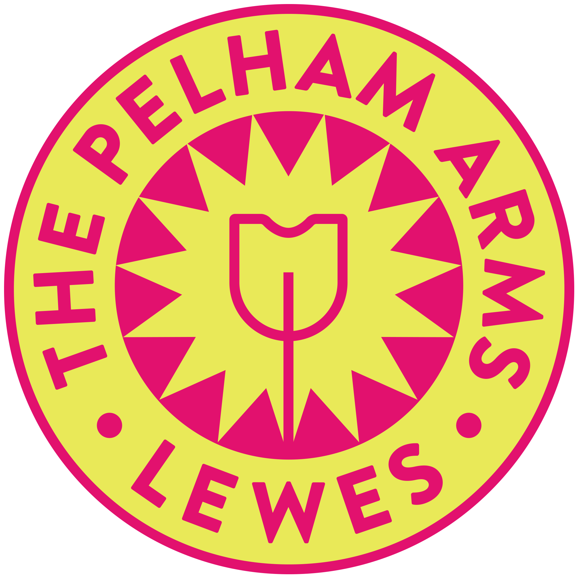 The Pelham Arms x Baja-inspired, Lewes